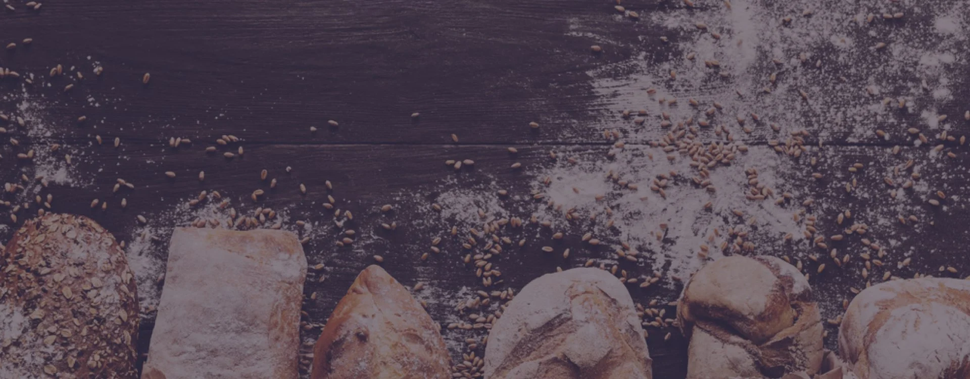 Built for Everyday Cravings and Celebrations